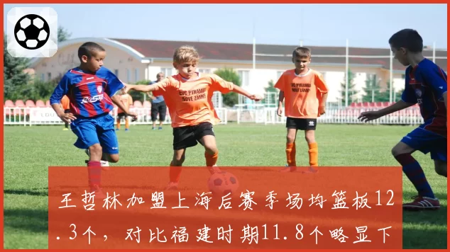 王哲林加盟上海后赛季场均篮板12.3个，对比福建时期11.8个略显下滑