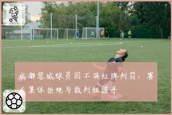 成都蓉城球员因不满红牌判罚，赛后集体拒绝与裁判组握手