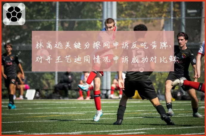 林高远关键分擦网申诉反吃黄牌,对手王艺迪同情况申诉成功对比鲜明