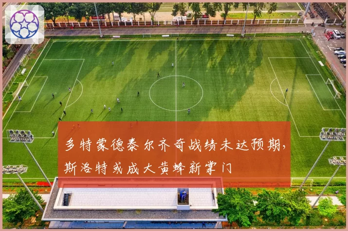 多特蒙德泰尔齐奇战绩未达预期，斯洛特或成大黄蜂新掌门