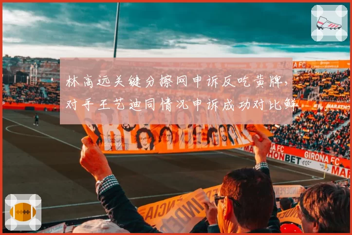 林高远关键分擦网申诉反吃黄牌,对手王艺迪同情况申诉成功对比鲜明